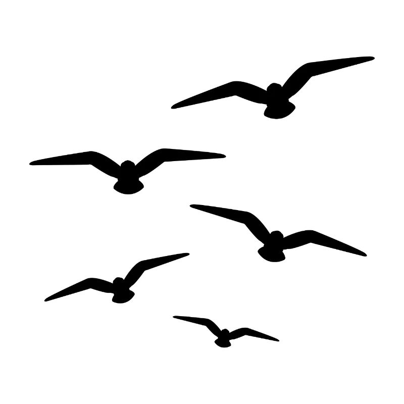 Volée d’oiseaux
