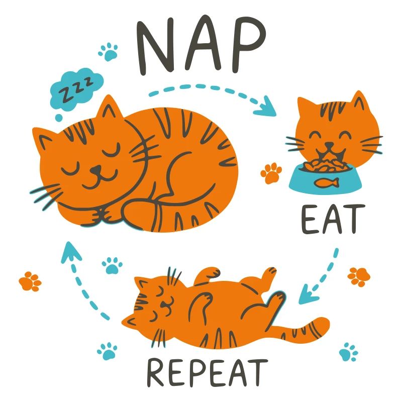 Conception de chat Manger Répétition Sieste