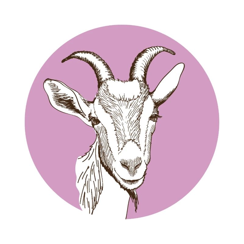 Chèvre