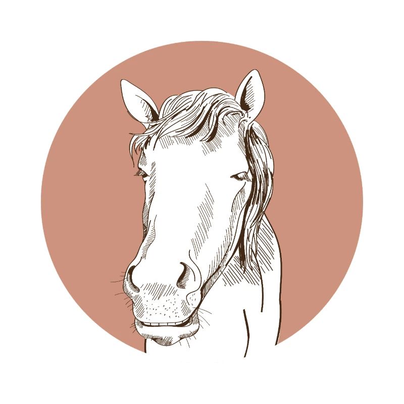 Pferd