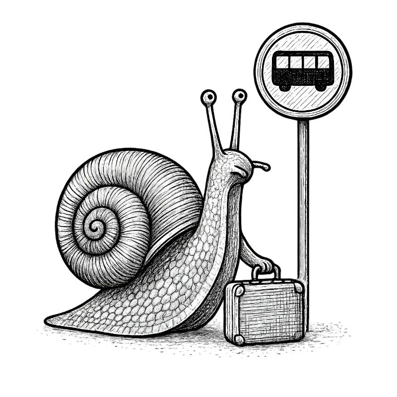 Eine Schnecke auf dem Weg