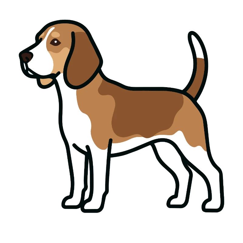 Le chien beagle