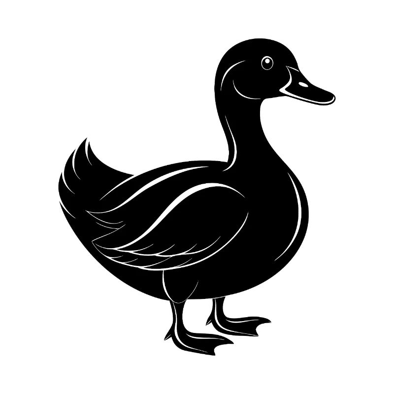 Canard