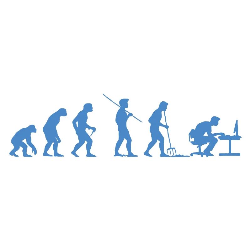 Programmeur Évolution Informaticien Développeur