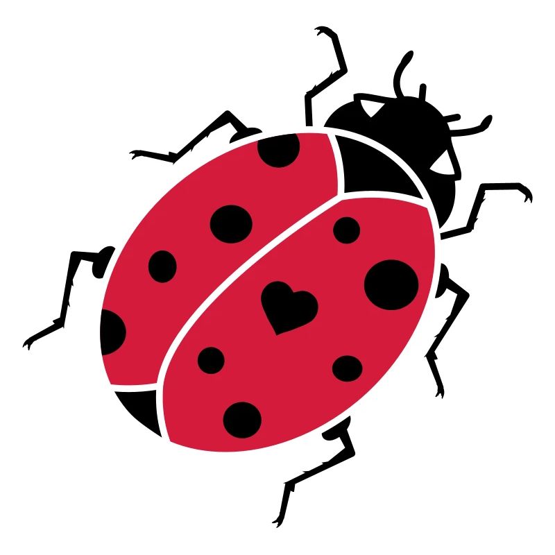 The ladybug