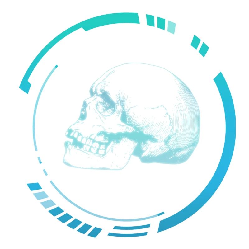 Human head X-ray image