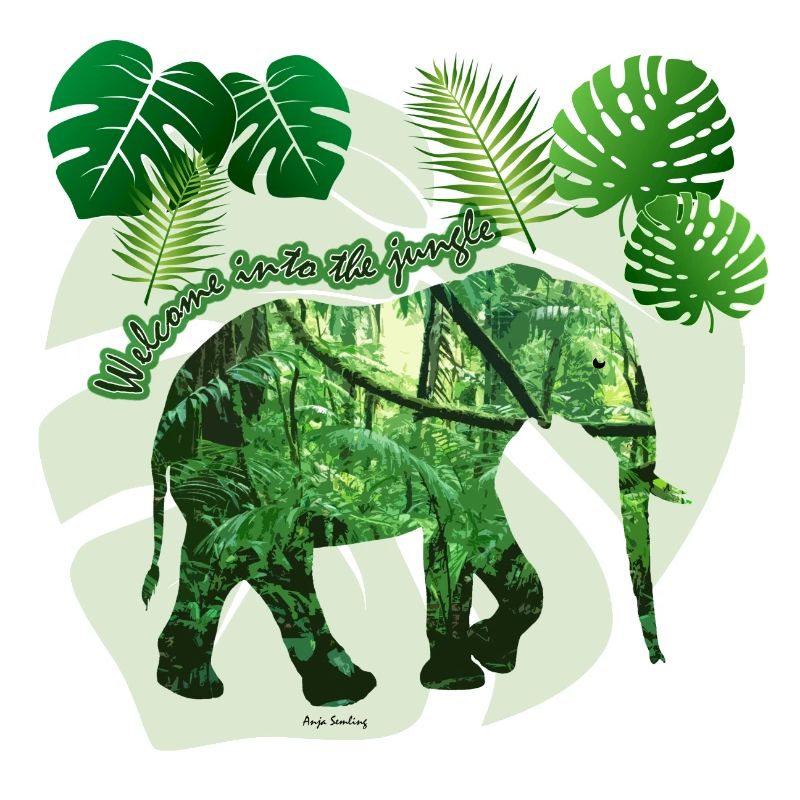 Jungle - Elephant - Loxodonta cyclotis