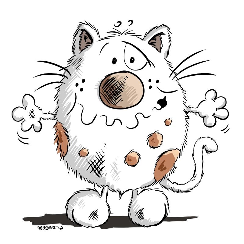 Cute Cat - Kitten - Cats - Fun