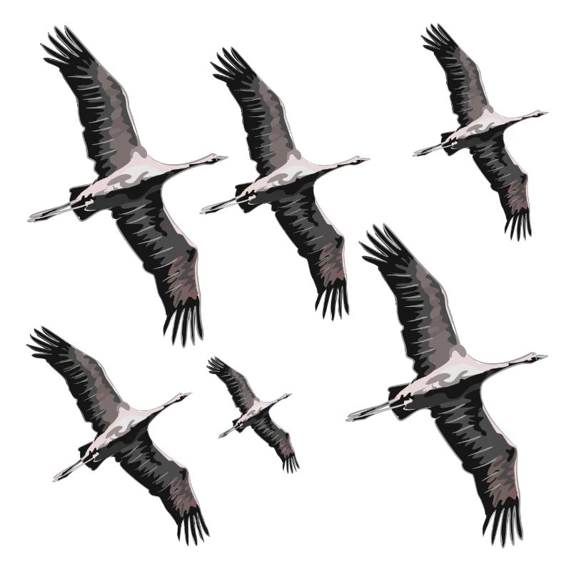 Grues migratrices d’oiseaux