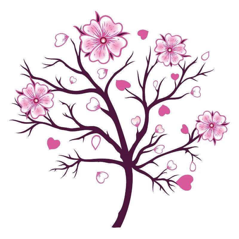 Cherry Blossom Blossoms Sakura Spring