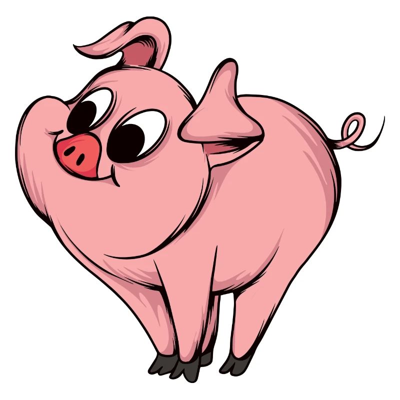 Conception de dessin animé de cochon ludique