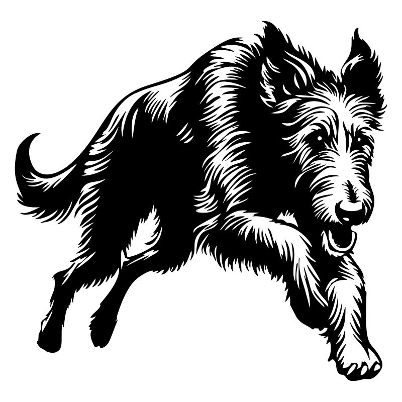Irish Wolfhound