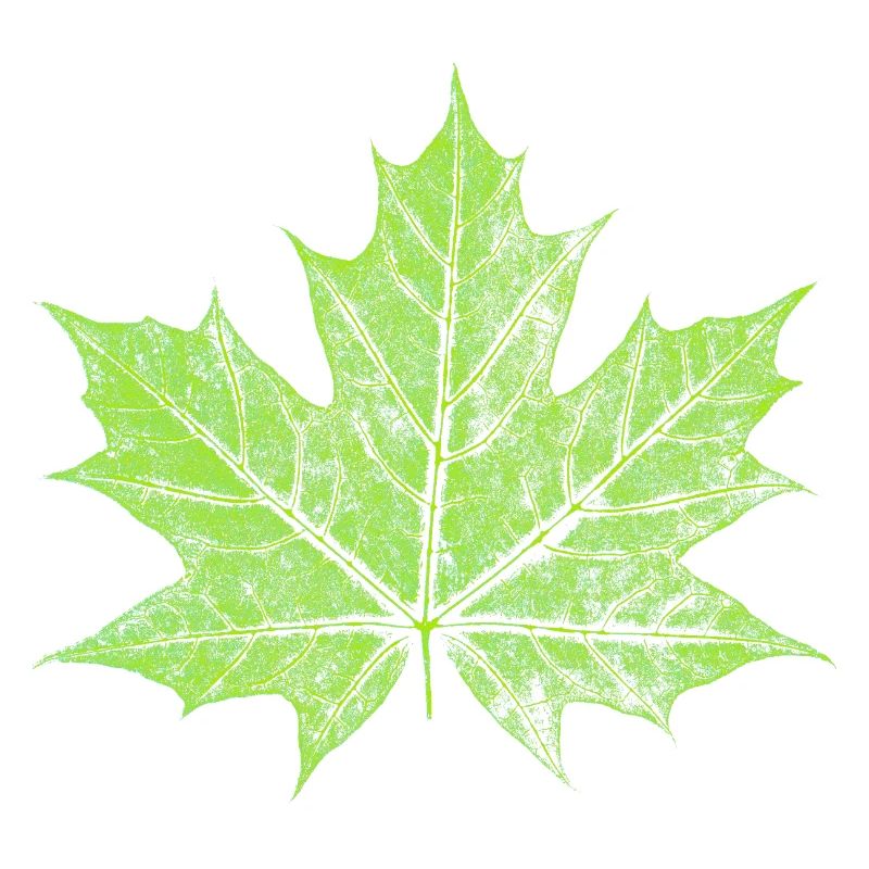 Feuille d’érable - VERT - Naturel / Design forestier