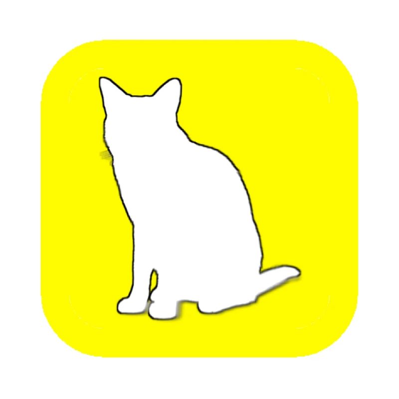 SnapChat (te) (jeu de mots français)