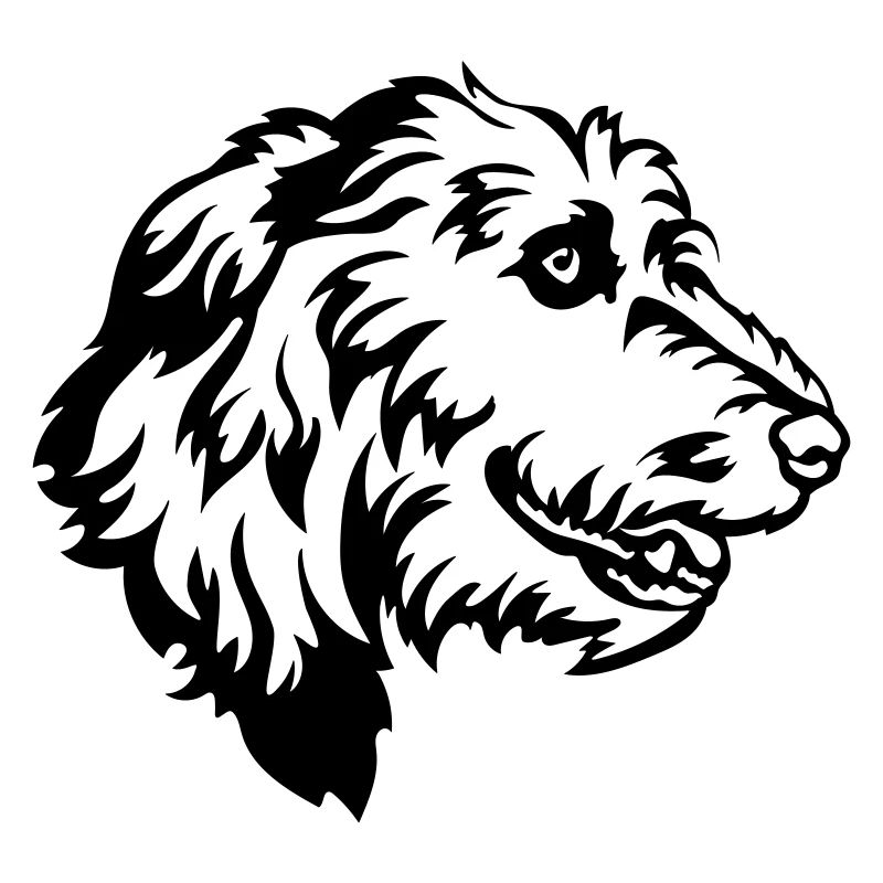 Irish Wolfhound Kopf