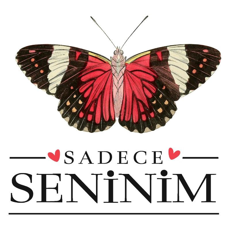 Conception créative de papillons – Sadece Seninim
