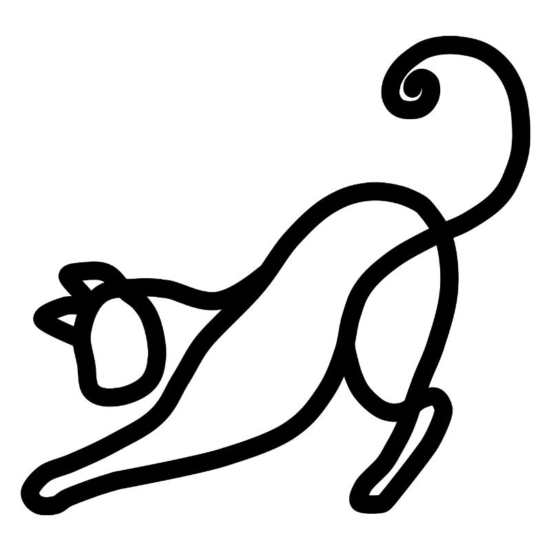 Chat minimaliste