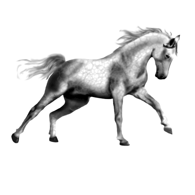 Pferd