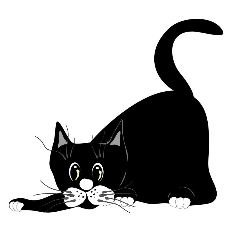 chat