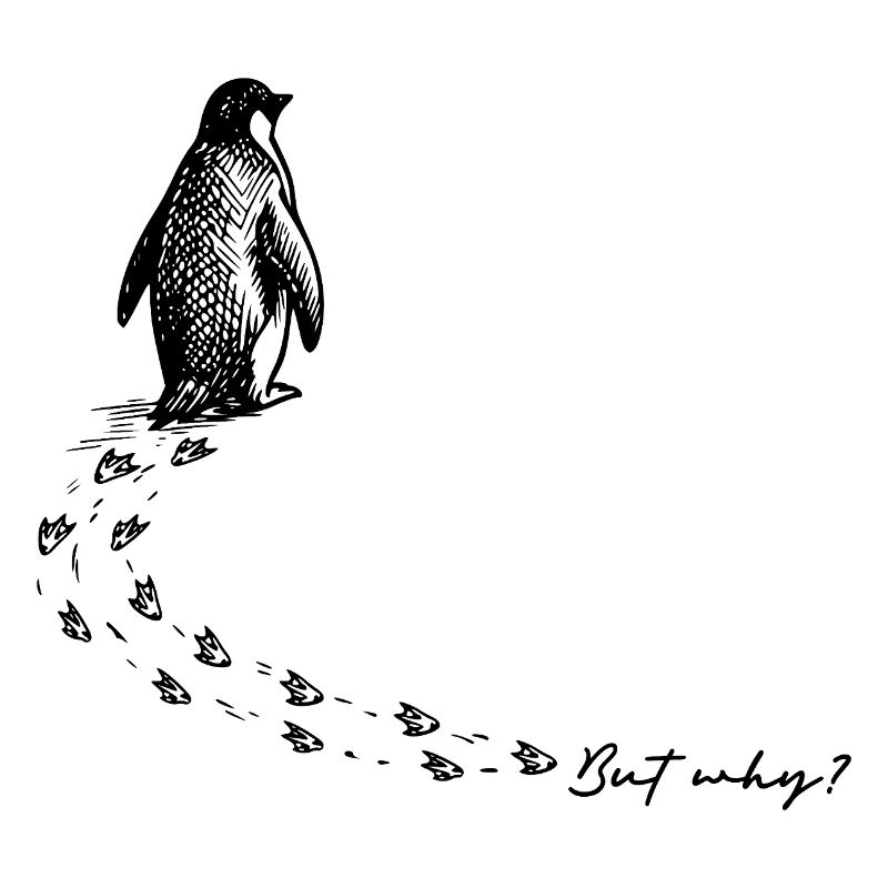 But why? Penguin Meme Footprints Doodle Doodle