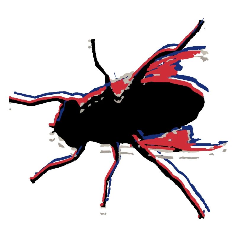 Fliege fischen No. 5