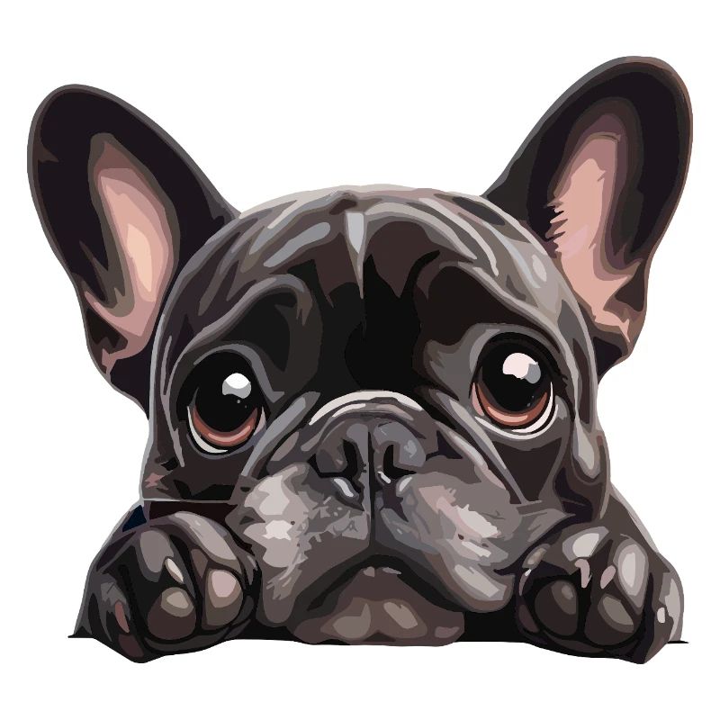 Cuddly Buldog Eye-Catching Graphic