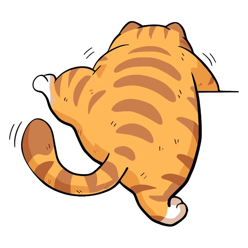Back view tabby kitten