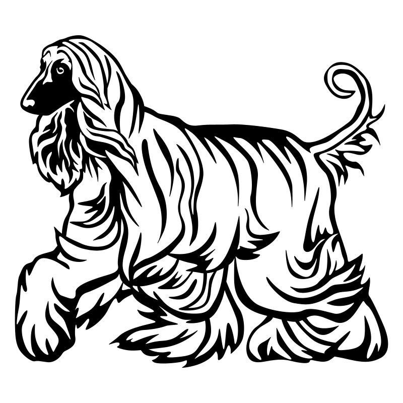Afghane