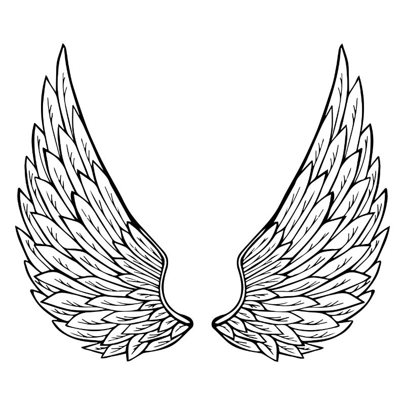 ailes d'anges