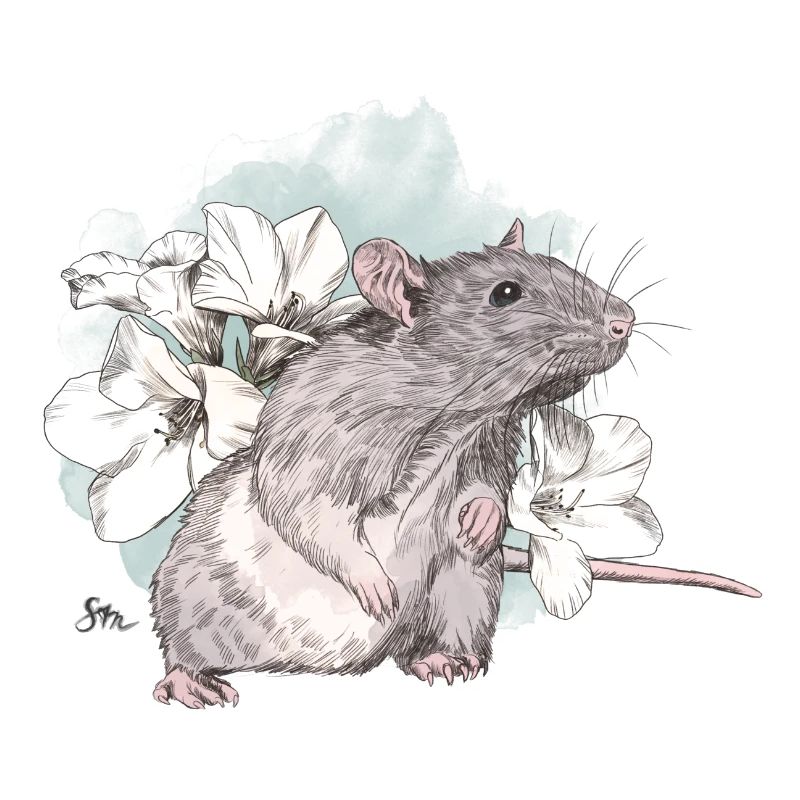 Rat devant de délicates fleurs sur une masse aquarelle