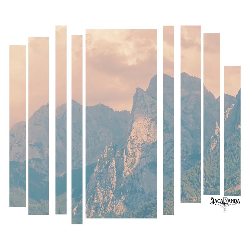 Jacaranda Kaiserblick