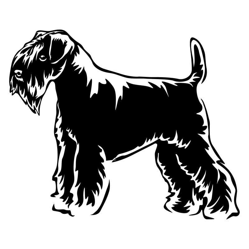 Schnauzer