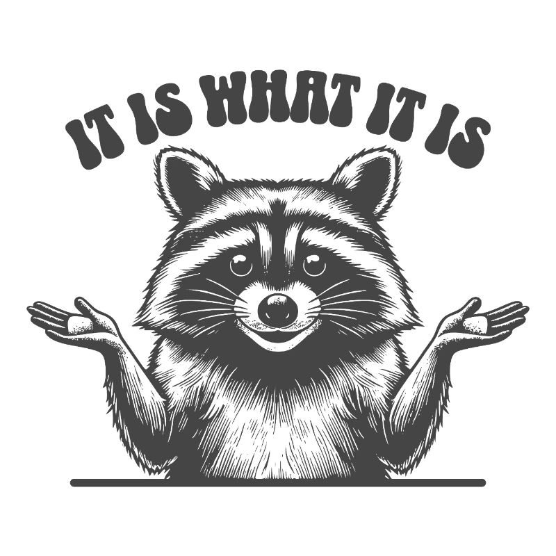 Raccoon - C’est ce que c’est