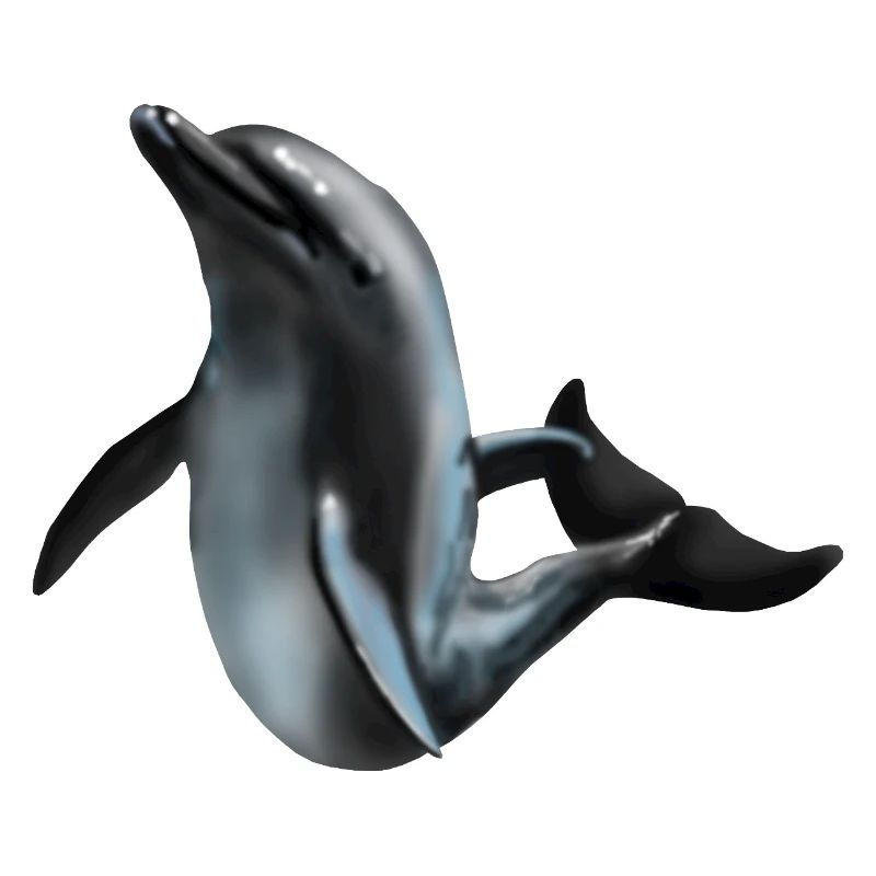 Dolphin in Night Light Silhouette Art