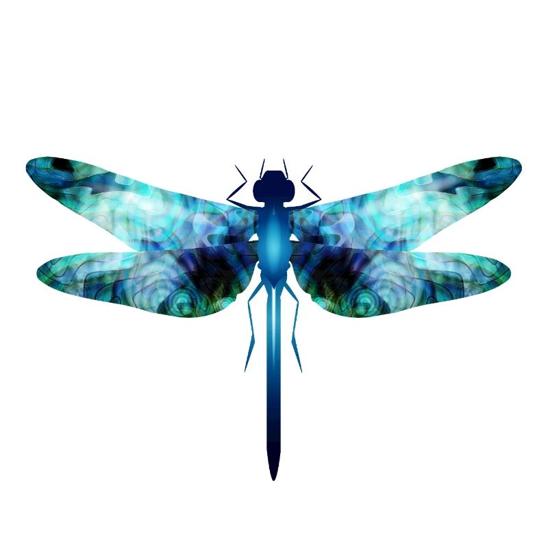 Libellule irisée dans les tons bleu-vert