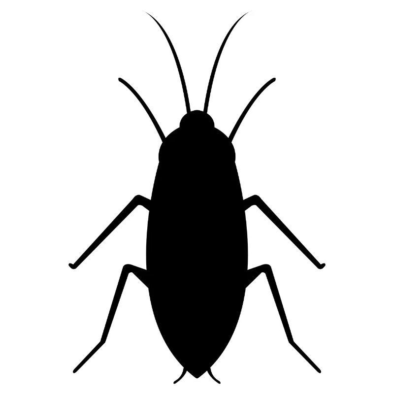 cockroach