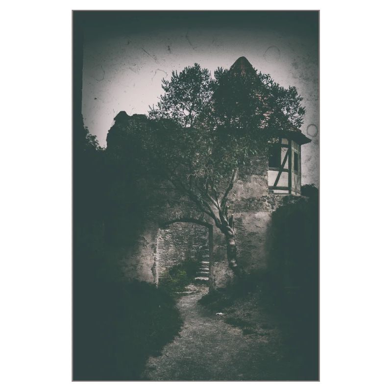 Trace de brouillard devant de vieux murs