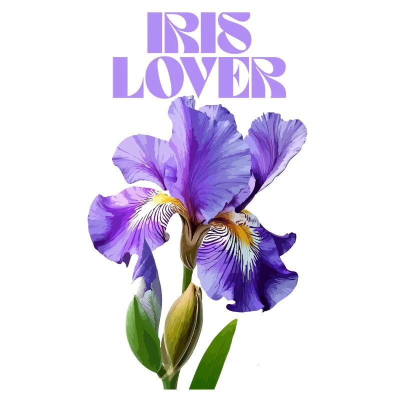 Fleur d’iris violet design botanique