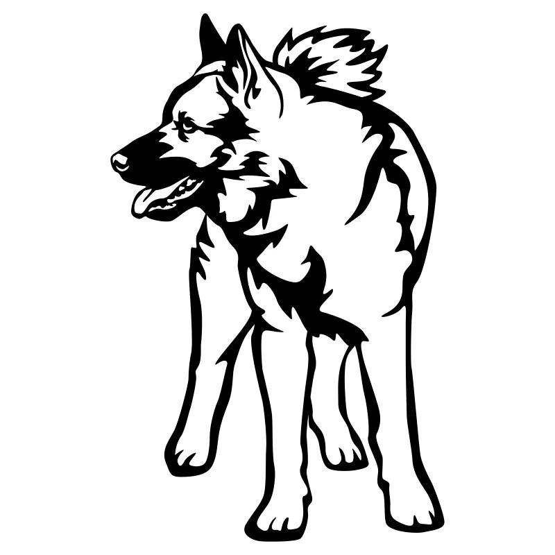 Norwegian Moose Dog