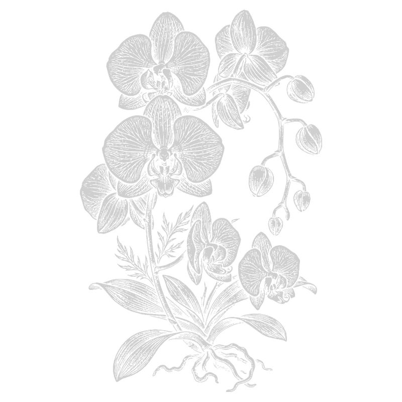 Orchid Linework Silk Floral