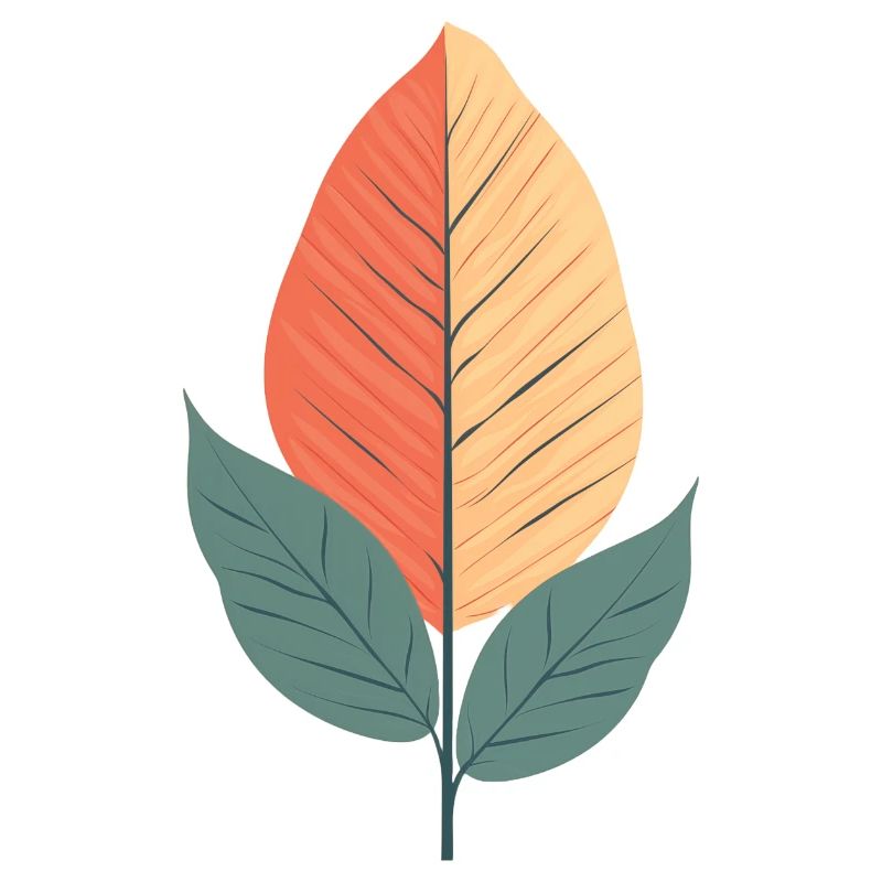 Minimalist Leaf
