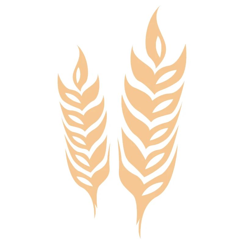 barley cereal symbol wheat logo icon vector