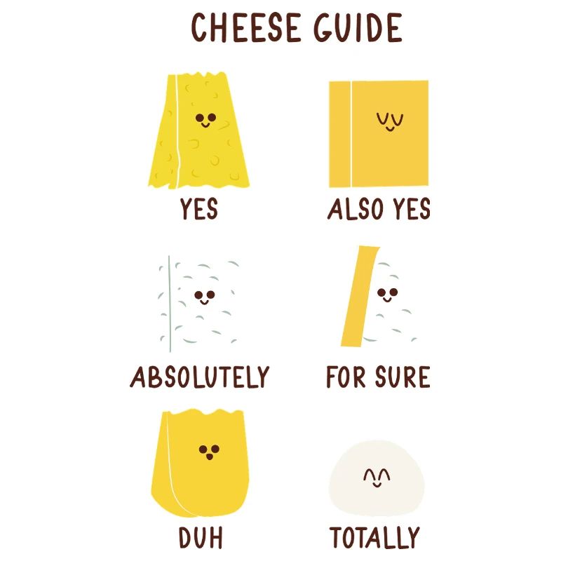 Guide du fromage mignon pour les passionnés de fromages Chef
