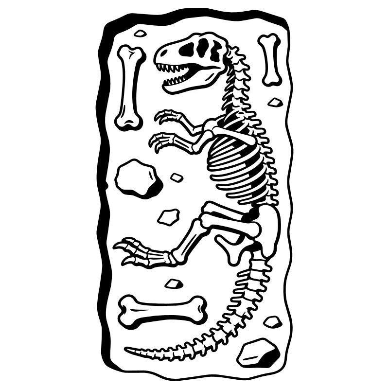 T Rex Skeleton