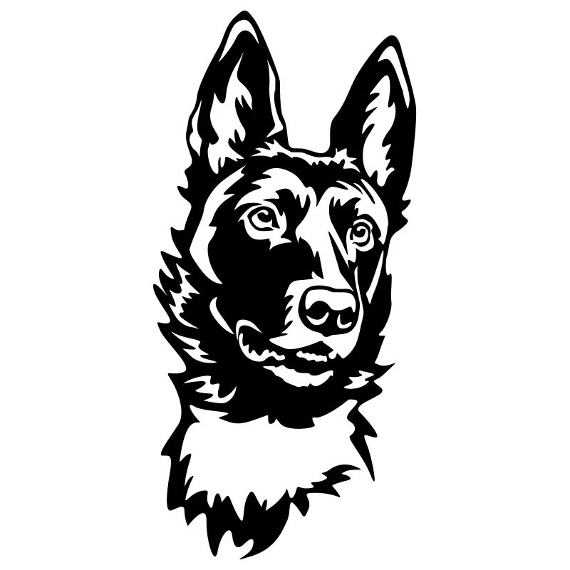 Malinois Kopf