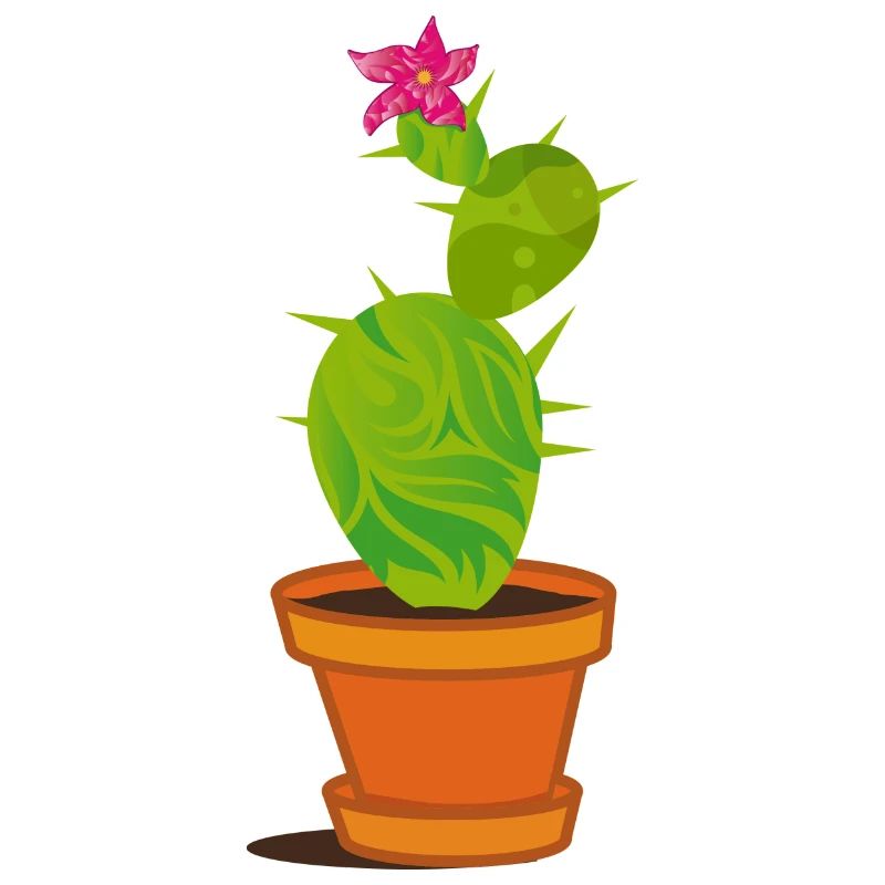 Kaktus mit einer Blüte