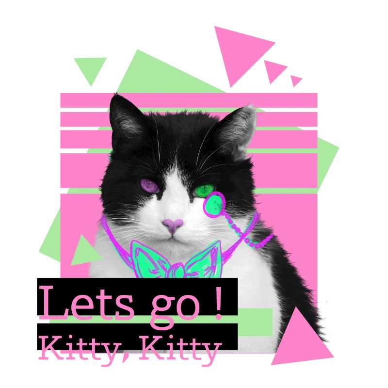Lets go kitty, kitty