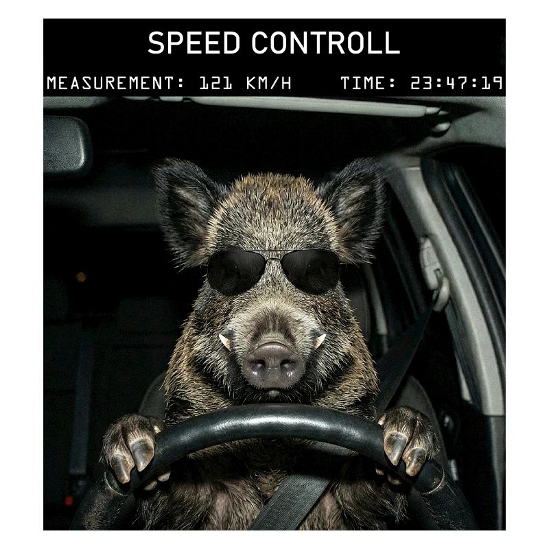 Wild boar speed control
