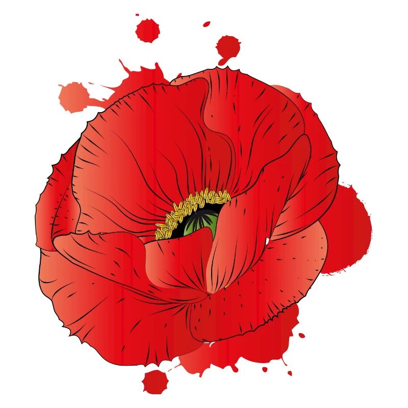 grande fleur d'un pavot de maïs comme graffiti