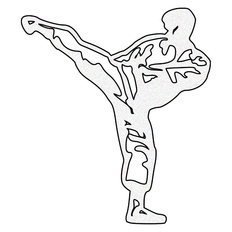 Karaté Argent